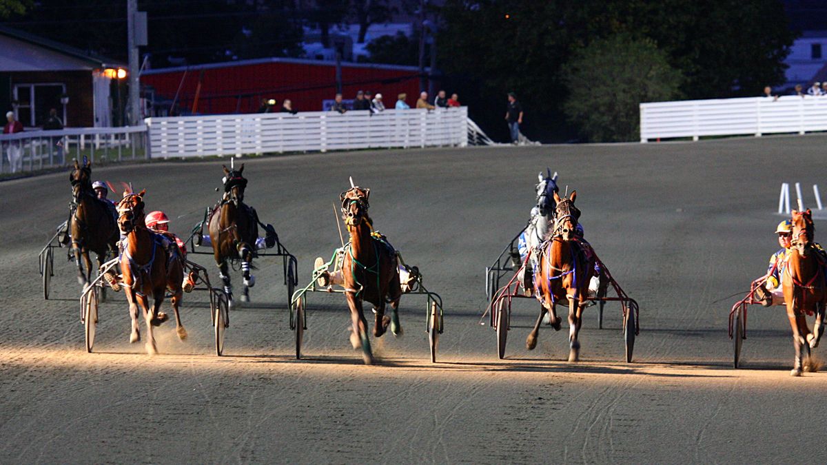 Harness horses and drivers in sulkies racing down the stretch of a dirt track at dusk in Charlottetown, Prince Edward Island