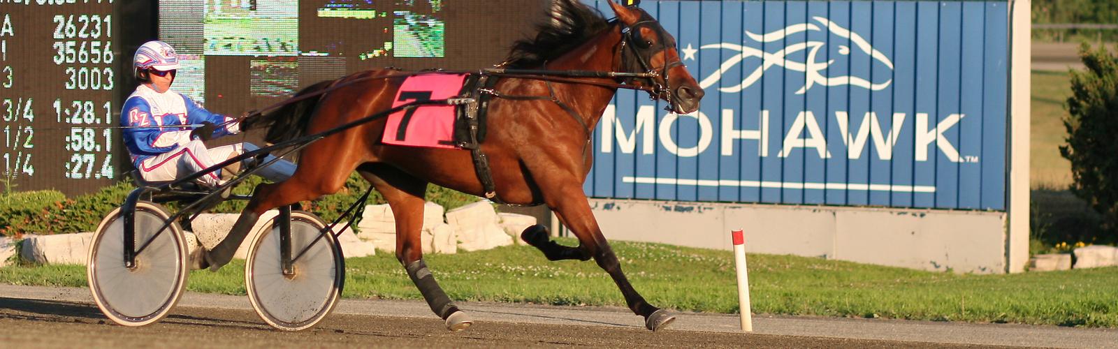 Harness racing at Mohawk Raceway, Ontario: horse number 7 passes the tote board
